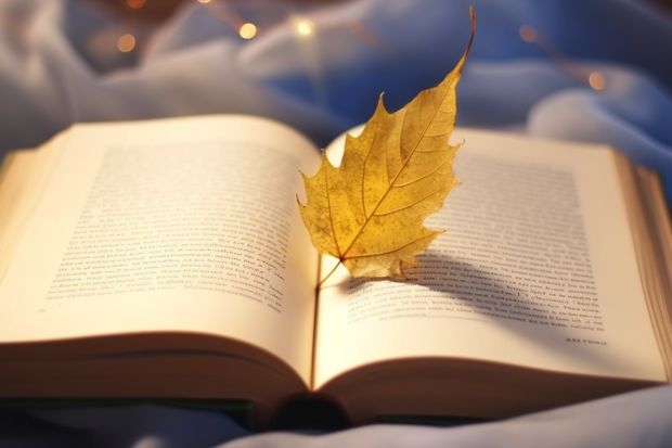 信阳师范学院大专多少分？准备报考这个学校，但是不知道这个学校大专的分数线，有谁知道吗。