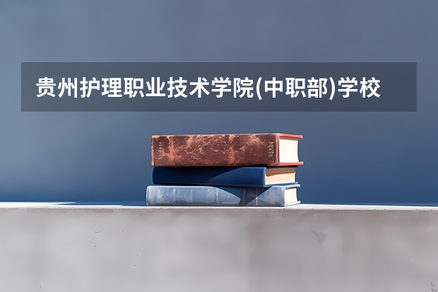 贵州护理职业技术学院(中职部)学校怎么样 贵州护理职业技术学院(中职部)地址