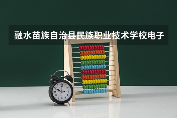 融水苗族自治县民族职业技术学校电子商务课程及专业能力要求