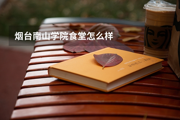 烟台南山学院食堂怎么样