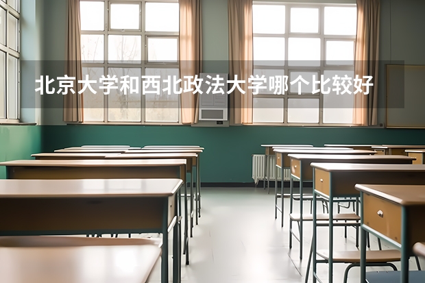 北京大学和西北政法大学哪个比较好 