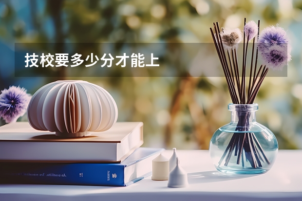 技校要多少分才能上