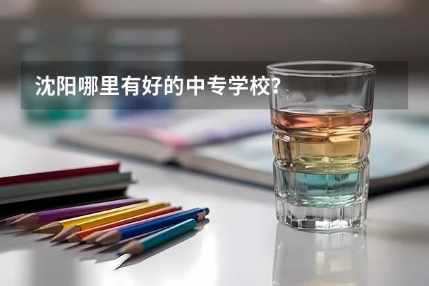 沈阳哪里有好的中专学校？