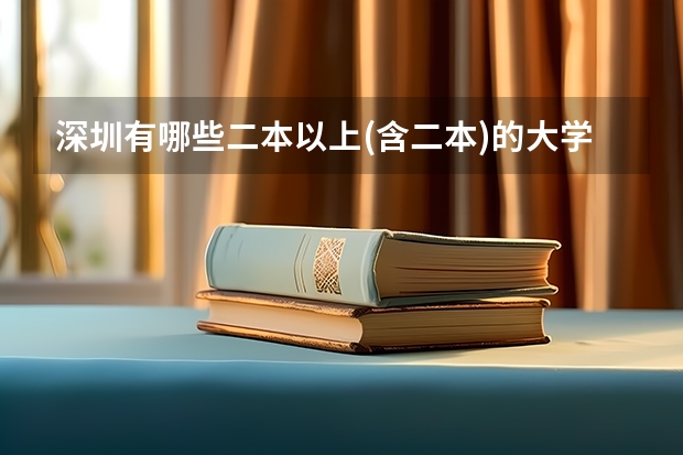 深圳有哪些二本以上(含二本)的大学?