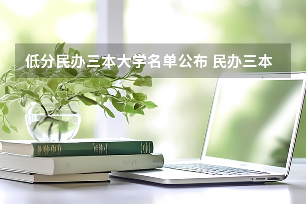 低分民办三本大学名单公布 民办三本大学排名