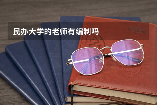 民办大学的老师有编制吗