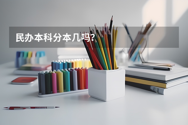 民办本科分本几吗？
