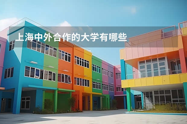 上海中外合作的大学有哪些
