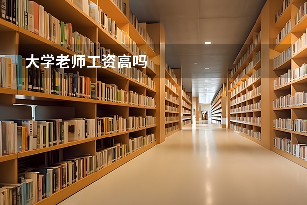 大学老师工资高吗