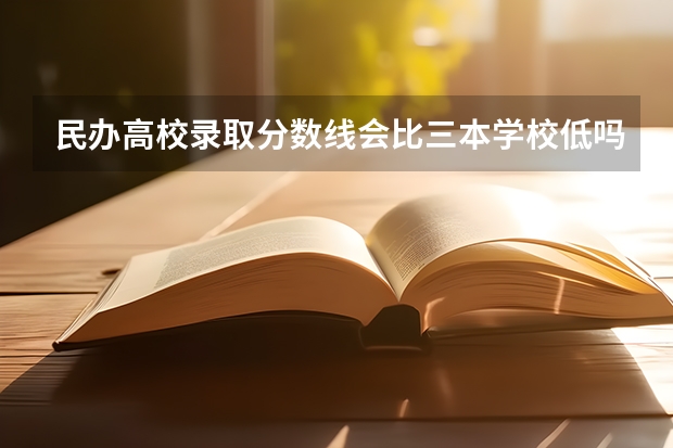 民办高校录取分数线会比三本学校低吗