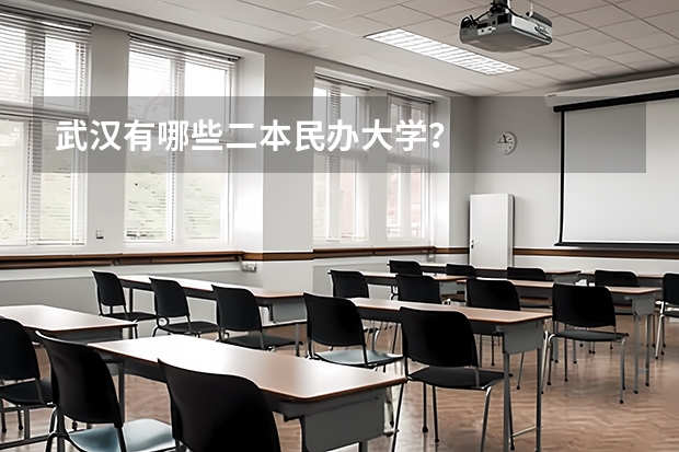 武汉有哪些二本民办大学？