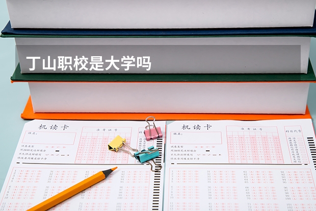 丁山职校是大学吗