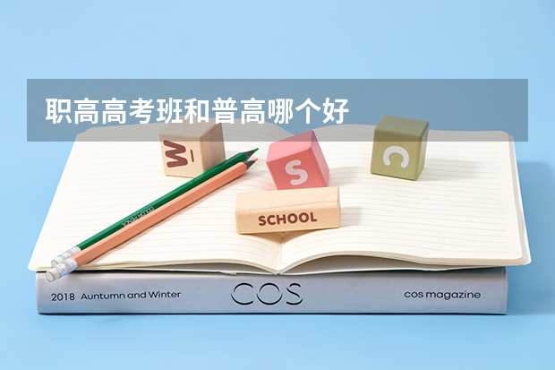 职高高考班和普高哪个好