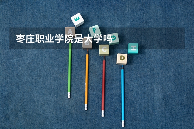 枣庄职业学院是大学吗