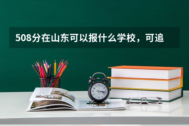 508分在山东可以报什么学校,可追加5000分