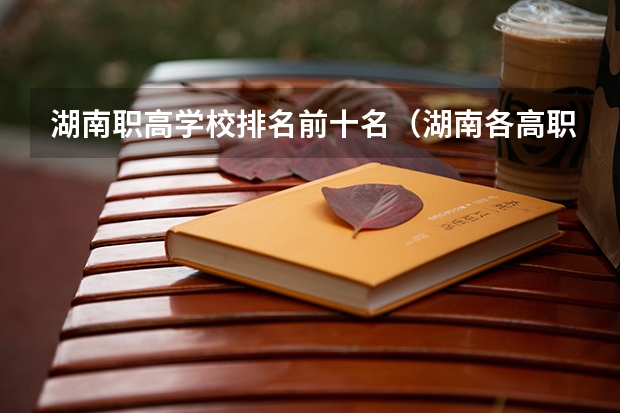 湖南职高学校排名前十名（湖南各高职院校王牌专业）