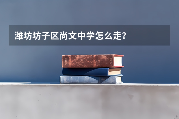 潍坊坊子区尚文中学怎么走？