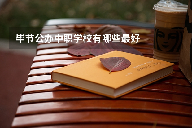 毕节公办中职学校有哪些最好