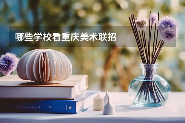哪些学校看重庆美术联招