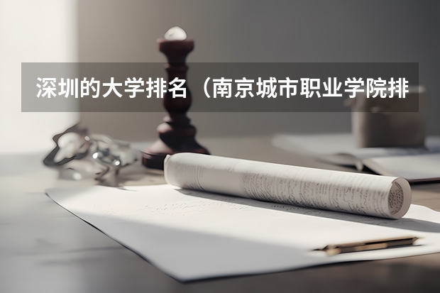 深圳的大学排名（南京城市职业学院排名）