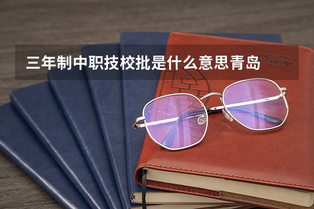 三年制中职技校批是什么意思青岛