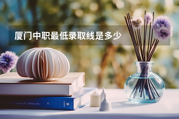 厦门中职最低录取线是多少